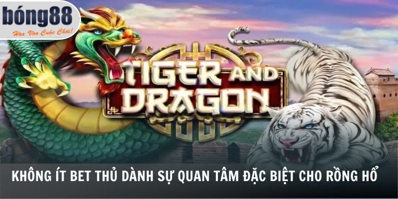 Không ít bet thủ dành sự quan tâm đặc biệt cho Rồng Hổ