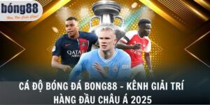 Cá Độ Bóng Đá