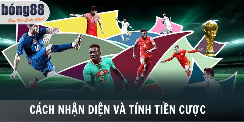 Cách nhận diện kèo đồng banh và tính tiền cược