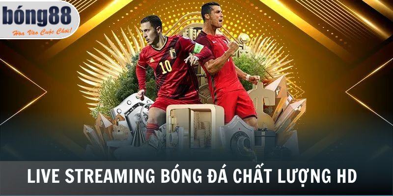 Live streaming cá độ bóng đá chất lượng HD