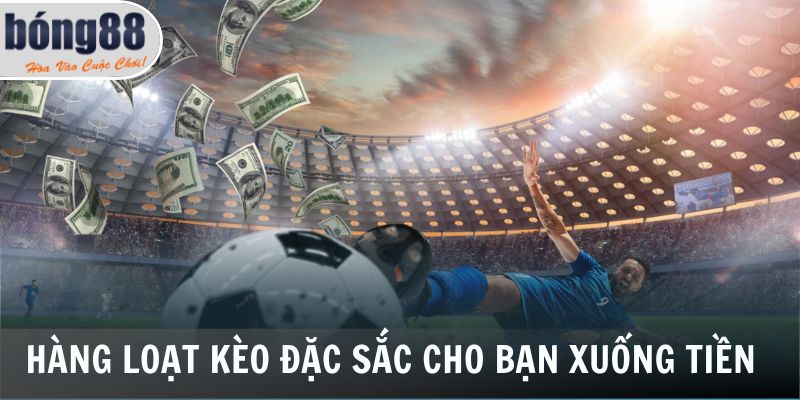 Hàng loạt kèo đặc sắc cho bạn xuống tiền