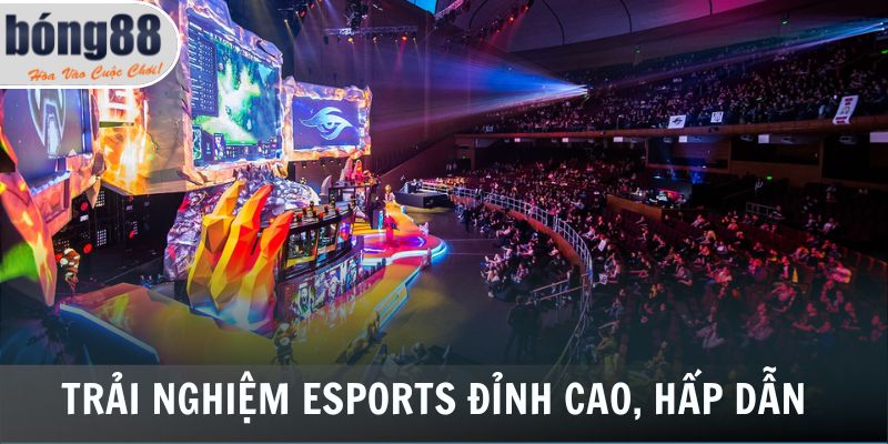 Trải nghiệm Esports đỉnh cao, hấp dẫn