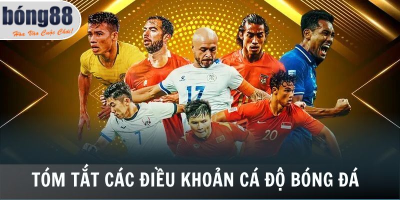 Tóm tắt các điều khoản cá độ bóng đá